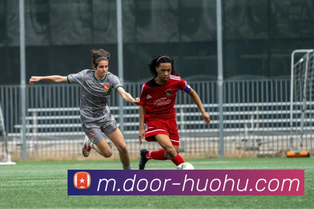 火狐体育发展历程